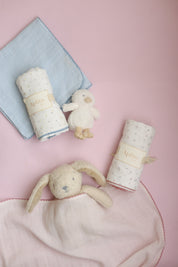 Swaddle Set - Sweet Haven In Pink