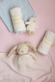 Swaddle Set - Sweet Haven In Pink