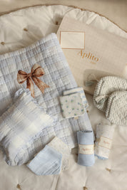 Bow & Melody In Blue