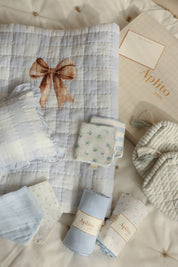 Bow & Melody In Blue